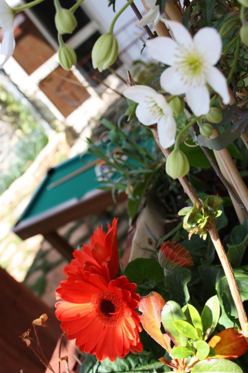 La Cascata Bed & Breakfast Noci Exterior foto